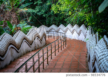 Stairs way in the jungle environment, at Wat Phra That Doi Tung temple, Chiang Rai Province, North of Thailand. 98534776