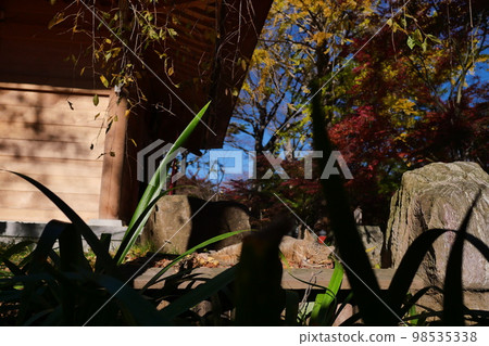 Kuhonbutsu, Joshinji, Kuhonbutsu, Joshinji, Temple, Autumn, Buddha statue, Cat, Building, Cat, Cat, Jizo, Jizo, Child 98535338