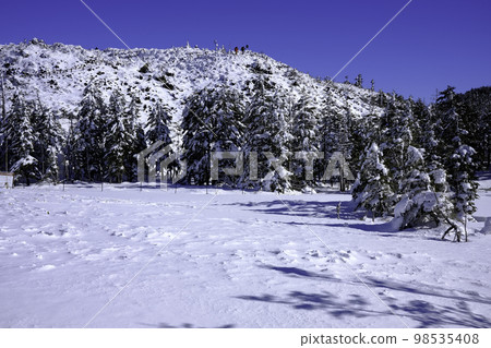 Snow scene Tsuboniwa Snow scene Tsuboniwa 98535408