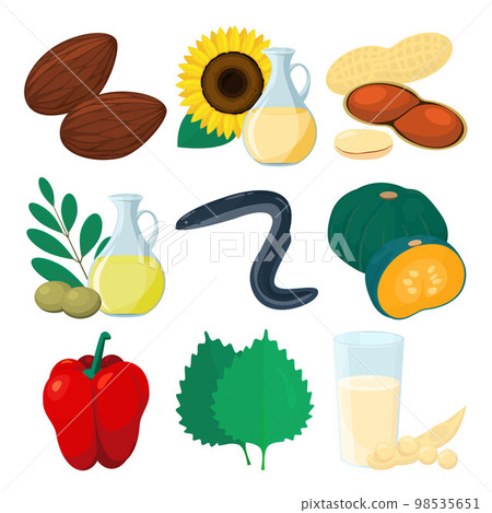 Vector illustration of food containing vitamin E. Vector illustration of food containing vitamin E. 98535651