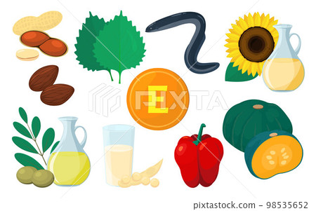 Vector illustration of food containing vitamin E. 98535652