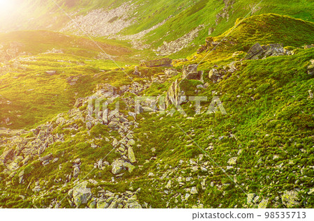 Carpathian mountain landscape Carpathian mountain landscape 98535713
