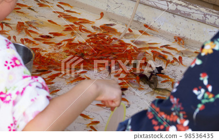 金魚舀 98536435