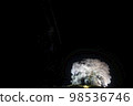 Wanizuka Cherry Blossom Night Illumination 98536746