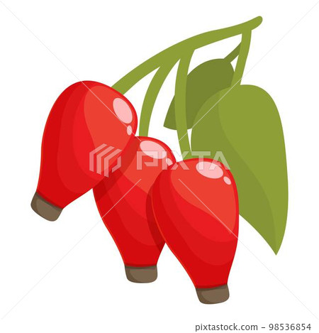 Juice roseship icon cartoon vector. Berry food. Organic vitamin Juice roseship icon cartoon vector. Berry food. Organic vitamin 98536854