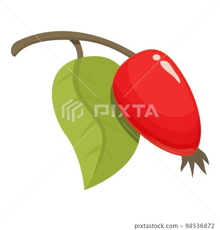 Green rosehip icon cartoon vector. Forest food. Organic vitamin Green rosehip icon cartoon vector. Forest food. Organic vitamin 98536872