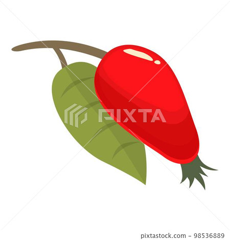 Forest rosehip icon cartoon vector. Berry food. Vitamin ripe Forest rosehip icon cartoon vector. Berry food. Vitamin ripe 98536889