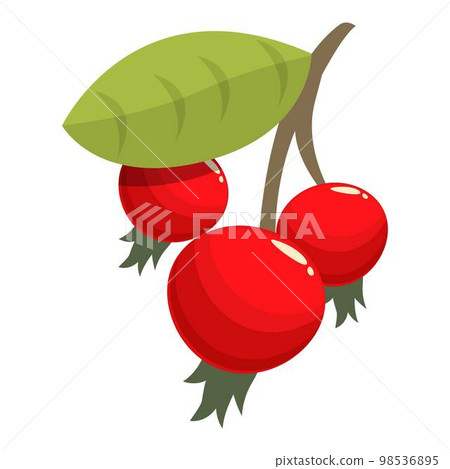 Red rosehip icon cartoon vector. Food berry. Vitamin ripe Red rosehip icon cartoon vector. Food berry. Vitamin ripe 98536895