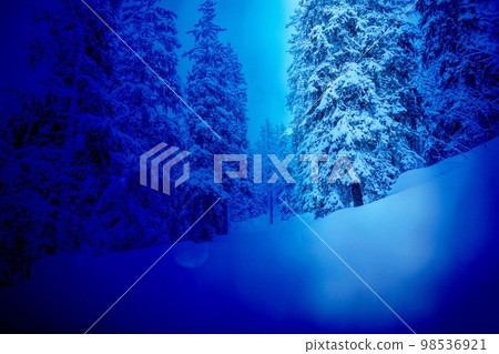 Night winter background of snow forest. Fir trees covered with snow on frosty evening. Beautiful winter panoramic view. Special filter, soft focus.  98536921