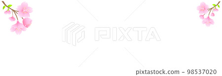 櫻花。春季圖像橫幅。 98537020
