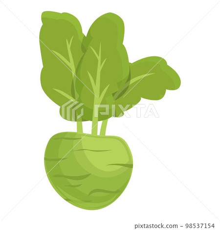 Cooking kohlrabi icon cartoon vector. Healthy food. Organic plant Cooking kohlrabi icon cartoon vector. Healthy food. Organic plant 98537154