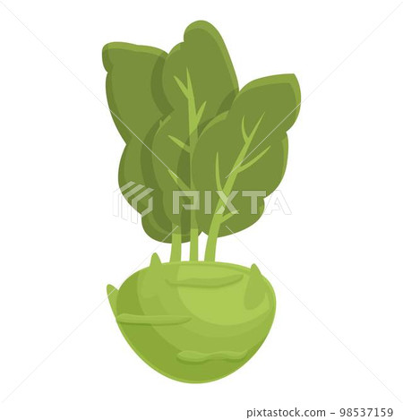 Nature kohlrabi icon cartoon vector. Cabbage plant. Vegetable organic Nature kohlrabi icon cartoon vector. Cabbage plant. Vegetable organic 98537159