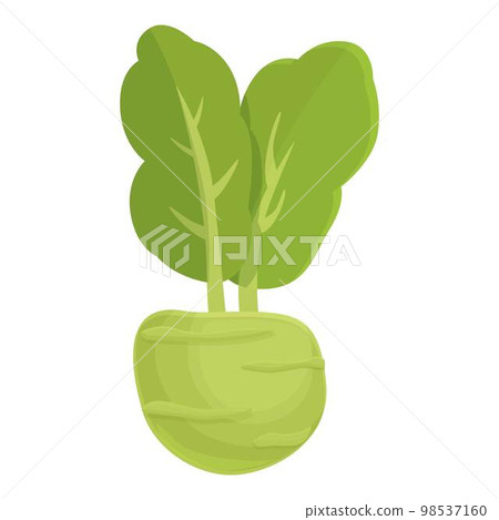 Fresh kohlrabi icon cartoon vector. Healthy food. Organic plant 98537160