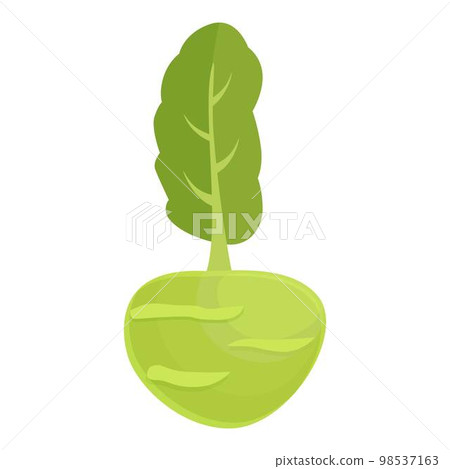 Nature kohlrabi icon cartoon vector. Healthy food. Organic vegetable 98537163