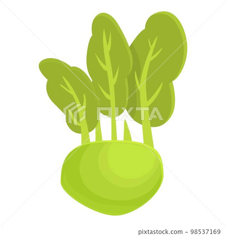 Vegetarian kohlrabi icon cartoon vector. Healthy food. Organic plant Vegetarian kohlrabi icon cartoon vector. Healthy food. Organic plant 98537169