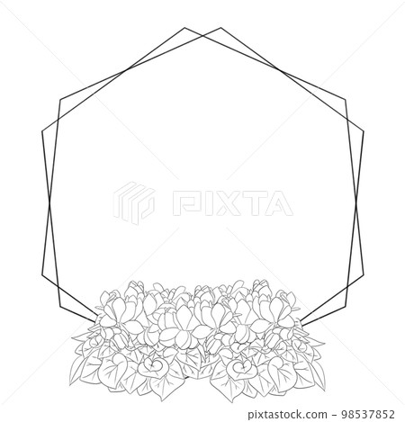 仙客來六角形框架材料的時尚黑白線描插圖 仙客來六角形框架材料的時尚黑白線描插圖 98537852
