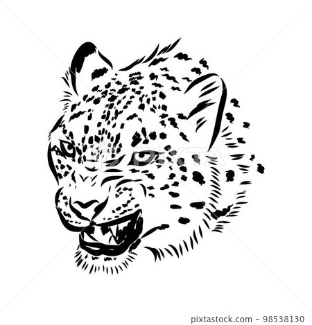 vector snow leopard, irbis wild cats graphic... - Stock Illustration ...