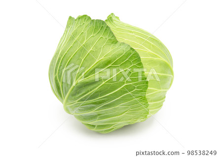 Cabbage on white back 98538249