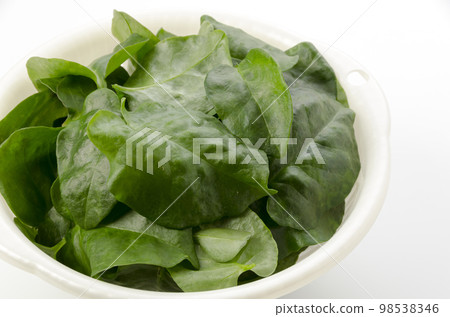 雲南醫藥 98538346