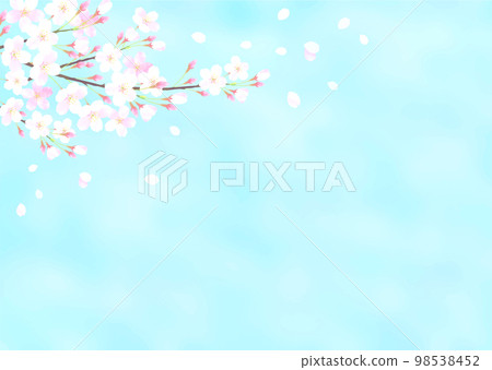Vector illustration background with blue sky and cherry blossoms watercolor touch Vector illustration background with blue sky and cherry blossoms watercolor touch 98538452