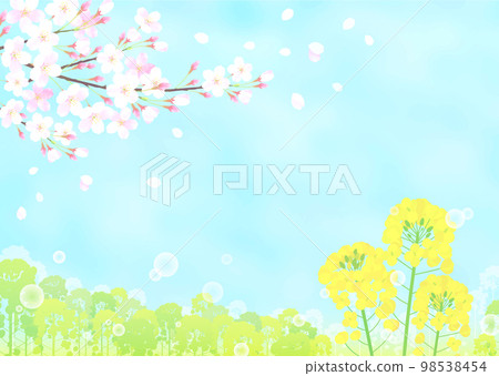 Cherry blossoms and rape blossoms Sakura Someiyoshino 98538454