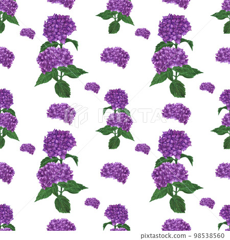 Handdrawn Watercolor purple hortense with green leaves seamless pattern. Scrapbook design, typography poster, label, banner, post card. Handdrawn Watercolor purple hortense with green leaves seamless pattern. Scrapbook design, typography poster, label, banner, post card. 98538560