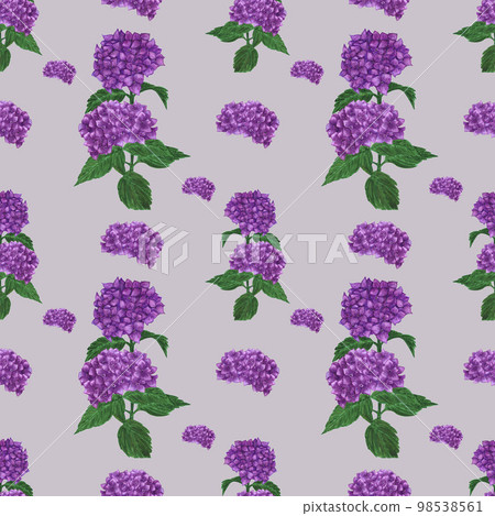 Handdrawn Watercolor purple hortense with green leaves seamless pattern. Scrapbook design, typography poster, label, banner, post card. Handdrawn Watercolor purple hortense with green leaves seamless pattern. Scrapbook design, typography poster, label, banner, post card. 98538561