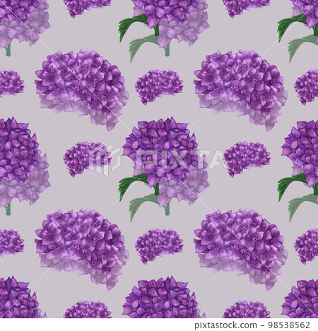 Handdrawn Watercolor purple hortense with green leaves seamless pattern. Scrapbook design, typography poster, label, banner, post card. Handdrawn Watercolor purple hortense with green leaves seamless pattern. Scrapbook design, typography poster, label, banner, post card. 98538562