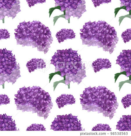 Handdrawn Watercolor purple hortense with green leaves seamless pattern on the white background. Scrapbook design, typography poster, label, banner, post card. Handdrawn Watercolor purple hortense with green leaves seamless pattern on the white background. Scrapbook design, typography poster, label, banner, post card. 98538563