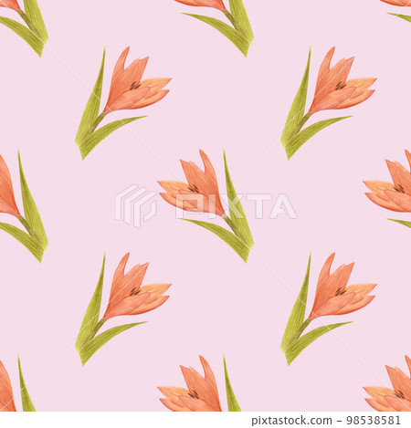 Handdrawn lily seamless pattern. Watercolor orange lily on the pink background. Scrapbook design elements. Typography poster, wedding card, label, banner design set, textile. 98538581