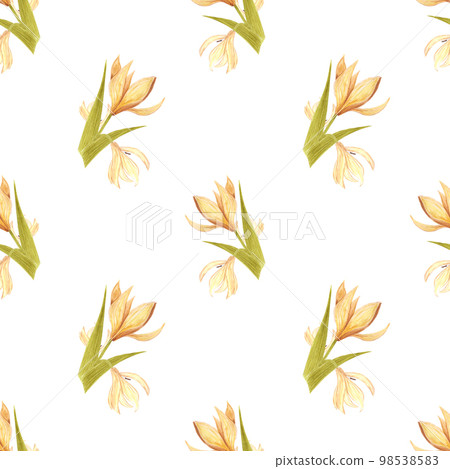 Handdrawn lily seamless pattern. Watercolor cream lily on the white background. Scrapbook design elements. Typography poster, wedding card, label, banner design set, textile. 98538583