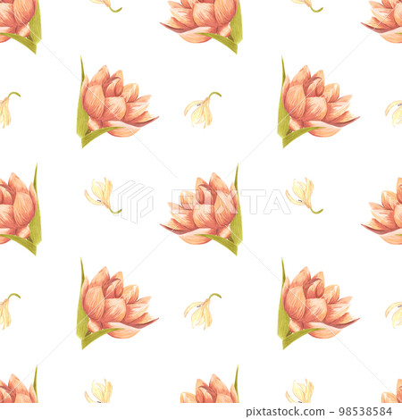 Handdrawn water lily seamless pattern. Watercolor cream lily on the white background. Scrapbook design elements. Typography poster, wedding card, label, banner design set, textile. 98538584
