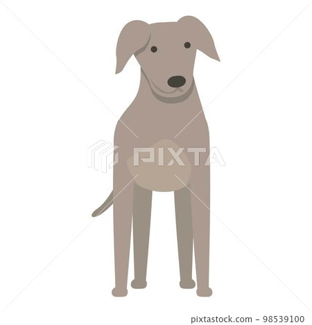 Greyhound standing icon cartoon vector. Animal run. Sprint canine 98539100