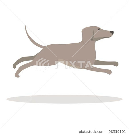 Dog sprint icon cartoon vector. Animal run. Canine puppy 98539101