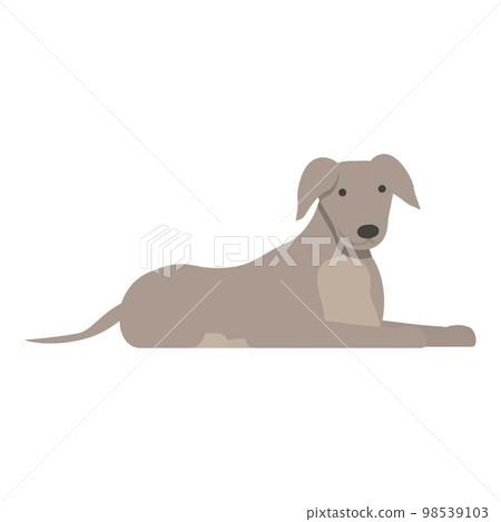 Cute dog icon cartoon vector. Animal greyhound. Sprint canine 98539103
