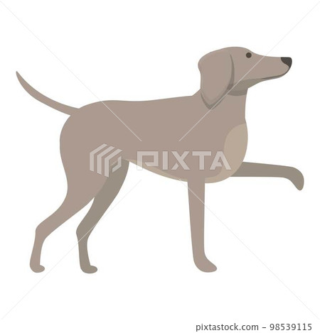 Domestic pet icon cartoon vector. Greyhound animal. Animal canine 98539115