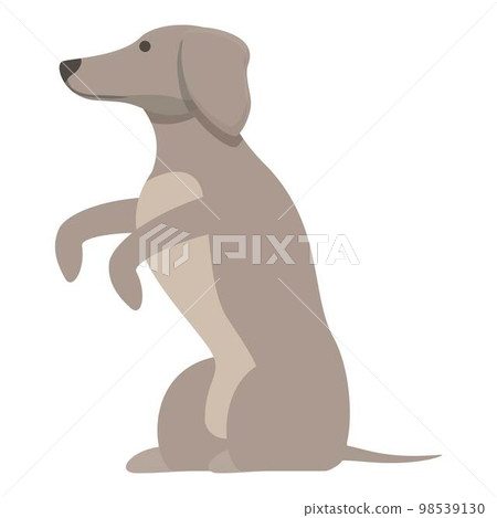 Play greyhound icon cartoon vector. Animal dog. Breed race 98539130