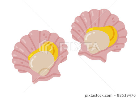 Shellfish and Mollusc as Seafood and Fresh Sea Product Vector Illustration 98539476