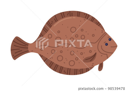 Plaice Flatfish as Seafood and Fresh Sea Product Vector Illustration 98539478