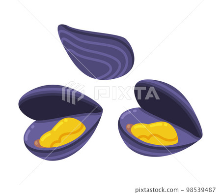 Shellfish and Mollusc as Seafood and Fresh Sea Product Vector Illustration 98539487