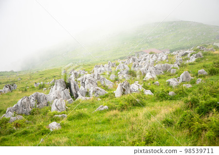Magnificent scenery of misty Shikoku karst Magnificent scenery of misty Shikoku karst 98539711