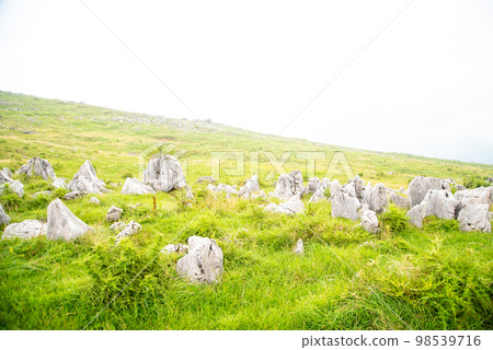 Magnificent scenery of misty Shikoku karst Magnificent scenery of misty Shikoku karst 98539716