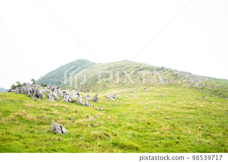Magnificent scenery of misty Shikoku karst 98539717