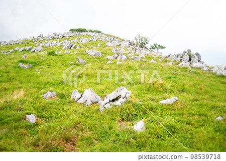 Magnificent scenery of misty Shikoku karst Magnificent scenery of misty Shikoku karst 98539718