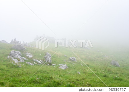 Magnificent scenery of misty Shikoku karst Magnificent scenery of misty Shikoku karst 98539737