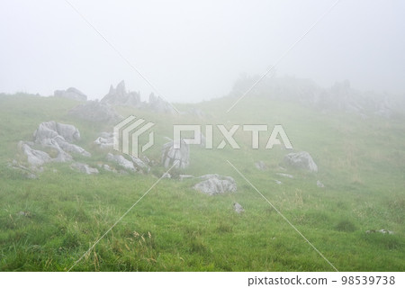 Magnificent scenery of misty Shikoku karst 98539738