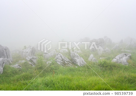 霧濛濛的四國喀斯特壯麗景色 霧濛濛的四國喀斯特壯麗景色 98539739