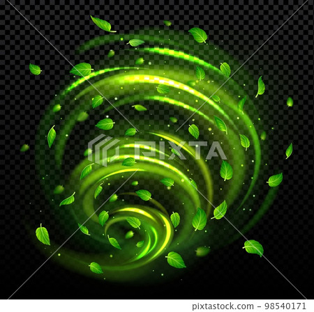Freshness effect, green air flow with mint leaves Freshness effect, green air flow with mint leaves 98540171