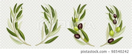 Olive branch wreath with green leaves Olive branch wreath with green leaves 98540242