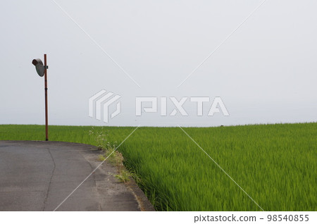 country  98540855